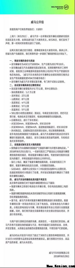 威马的冰与火 或许我们应该更理性一点